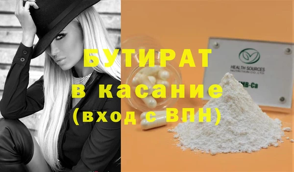 гидра Инта
