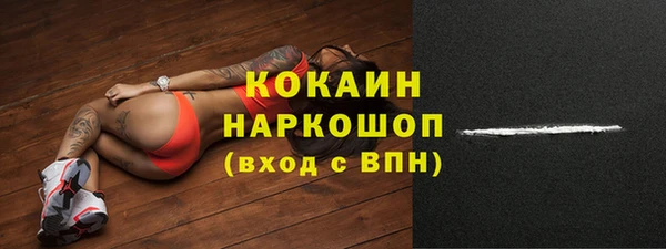 дживик Каменка