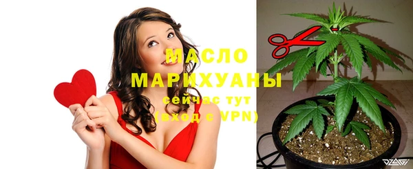 дживик Каменка