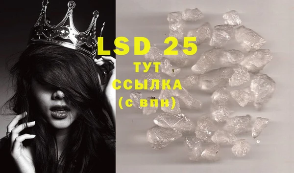 гидра Инта