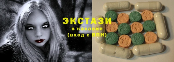 гидра Инта