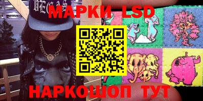 стафф Камышлов