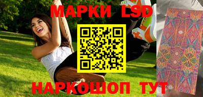 стафф Камышлов