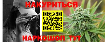 стафф Камышлов
