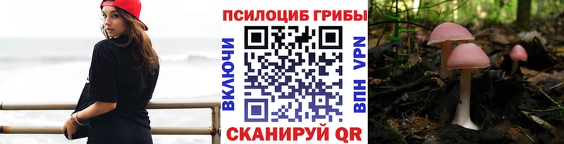 Галлюциногенные грибы Cubensis  Конаково 
